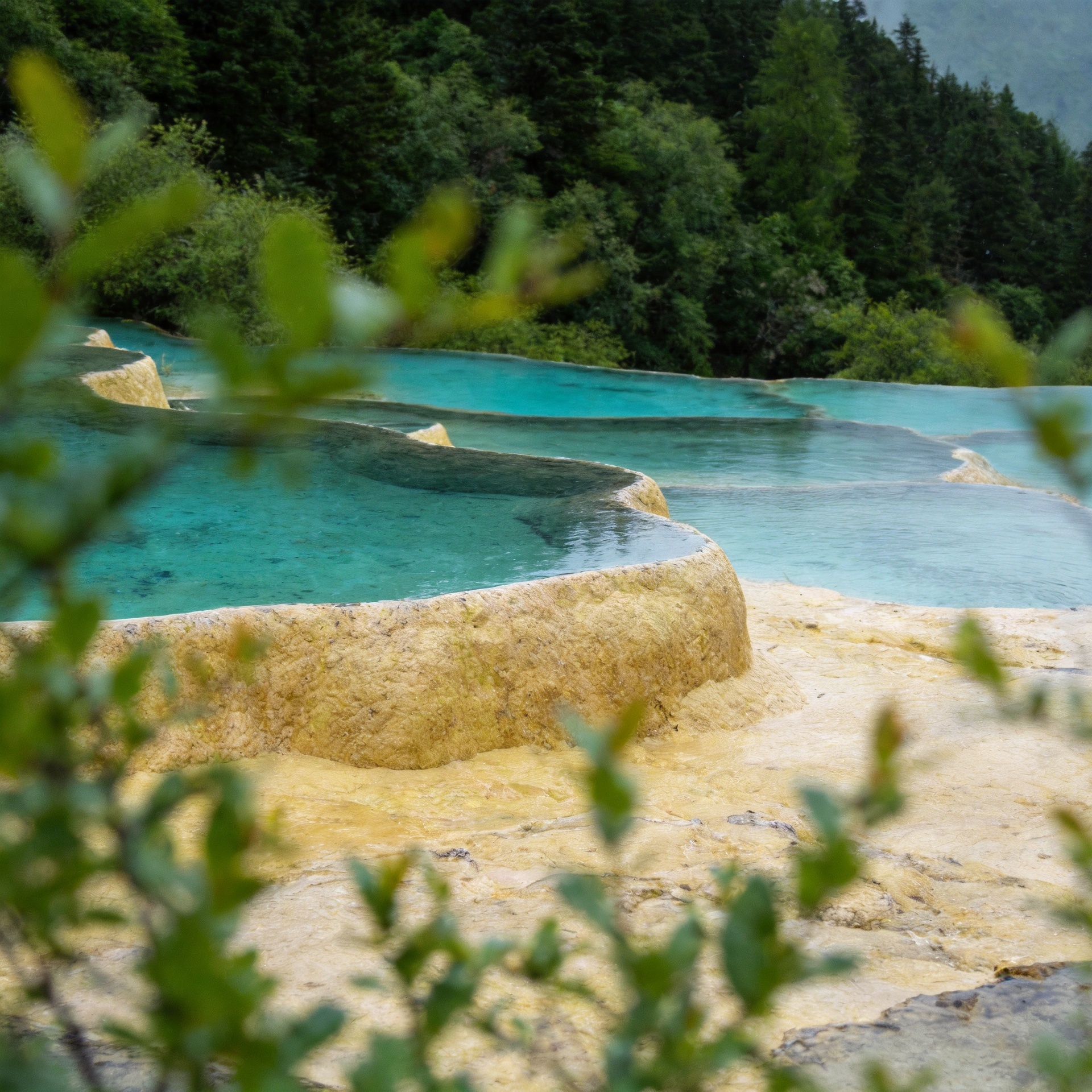 Custom Tailored 6-Day Chengdu Tour Including Jiuzhaigou & Pandas, Daily Departures (Private)