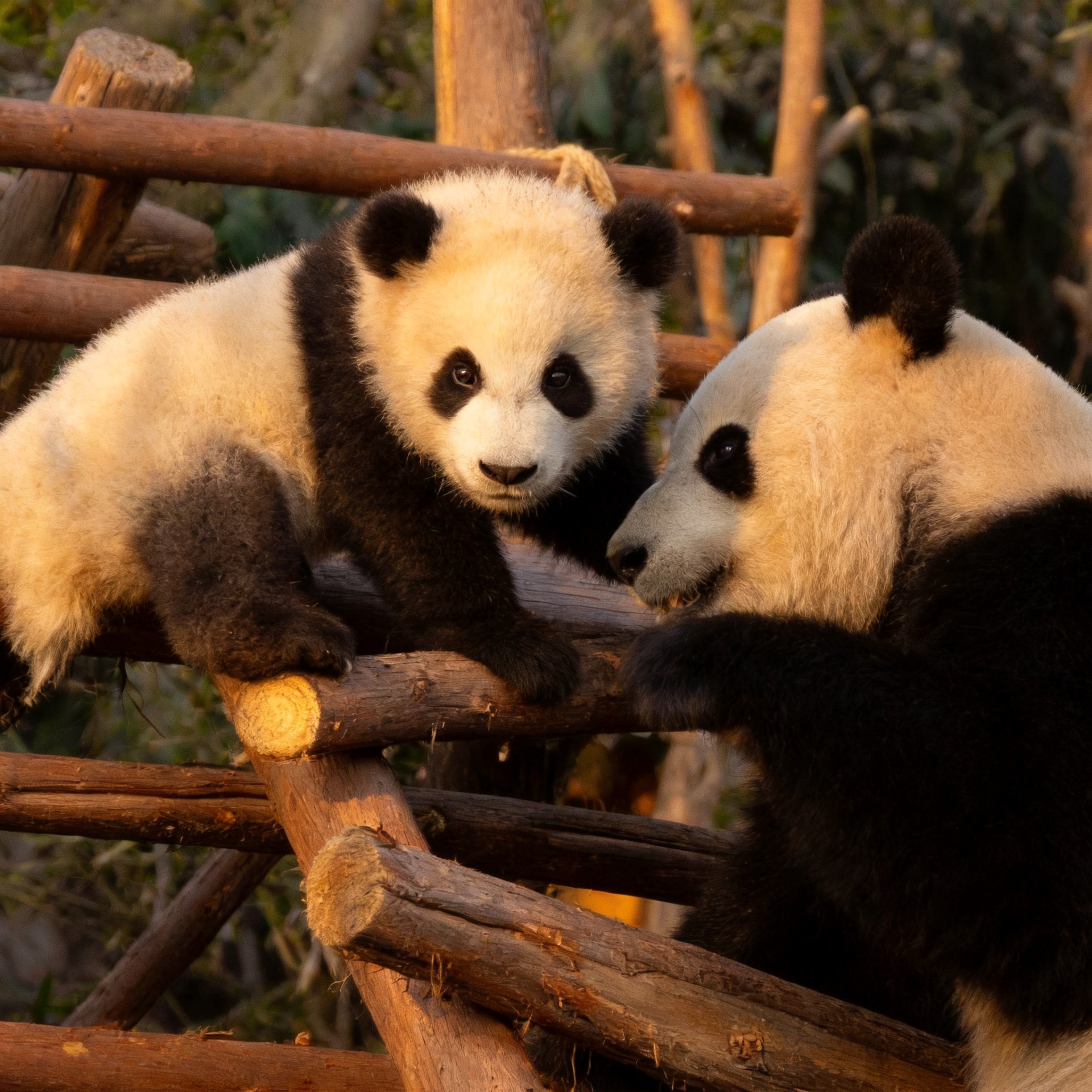 Must-See Highlights of China Tour
