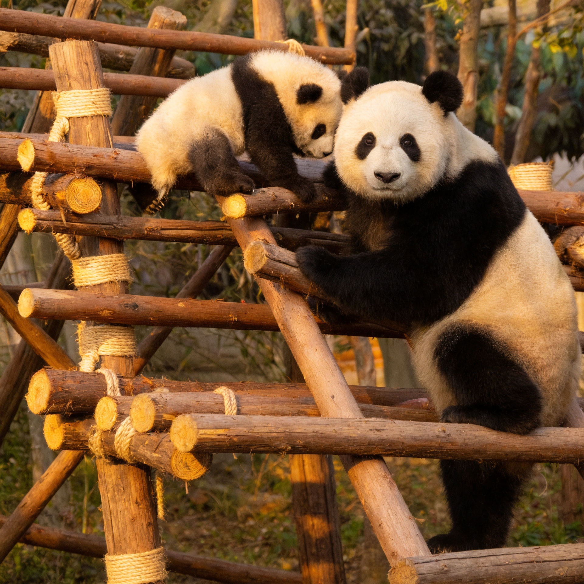 China: Major Cities & Iconic Cultural Experiences