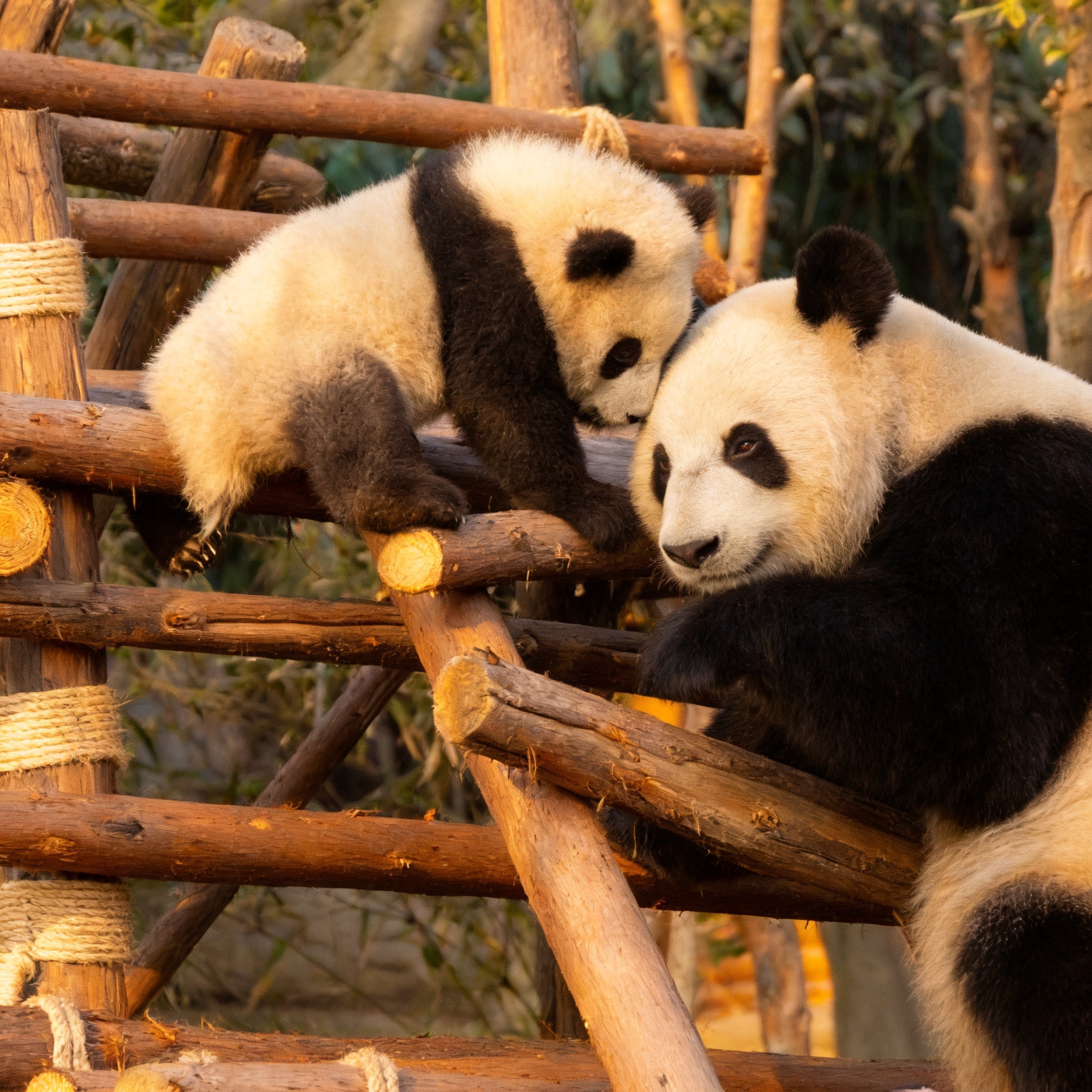 China: Top Cities & Legendary Culture