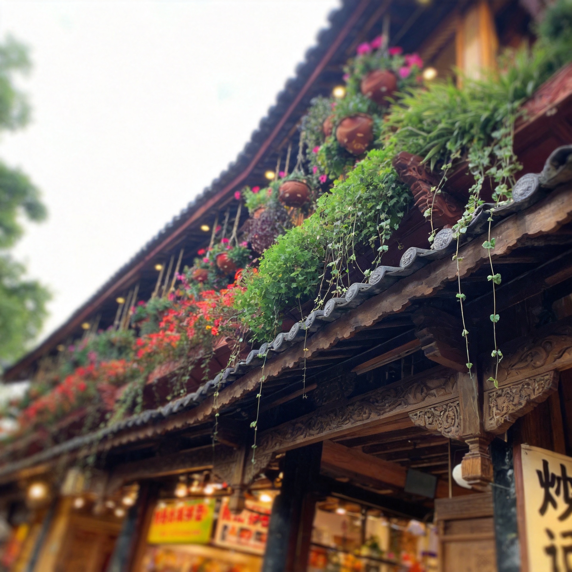 10-Day Adventure Tour of Yunnan: Kunming, Red Land, Dali, Shangri-la, Lijiang