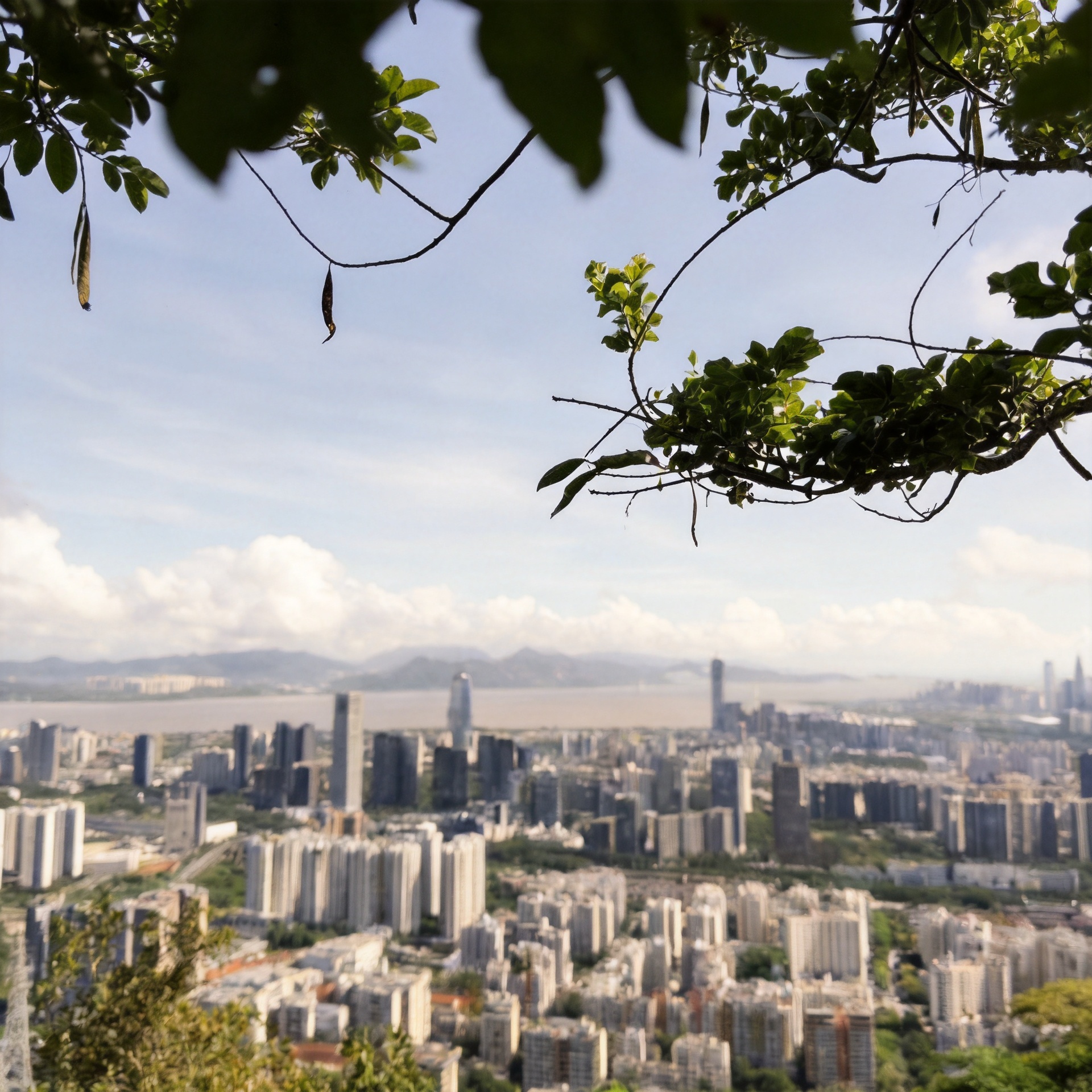 7-Day Must-See Highlights Tour of the Pearl River Delta: Guangzhou-Zhuhai-Shenzhen